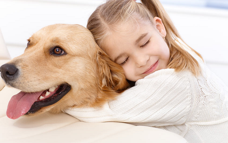 Disability Assistance Dogs