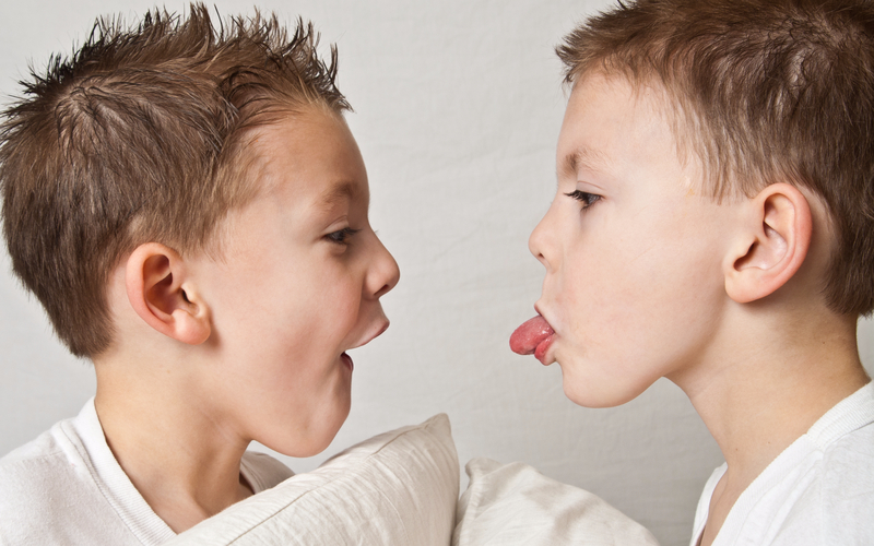 Special Needs Families: Brothers