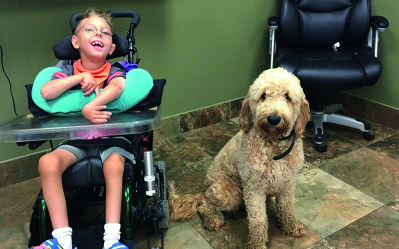 Special Needs Families: Getting ready for Ewok