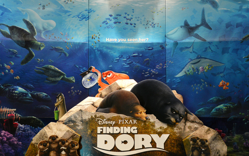 Operation Cinema