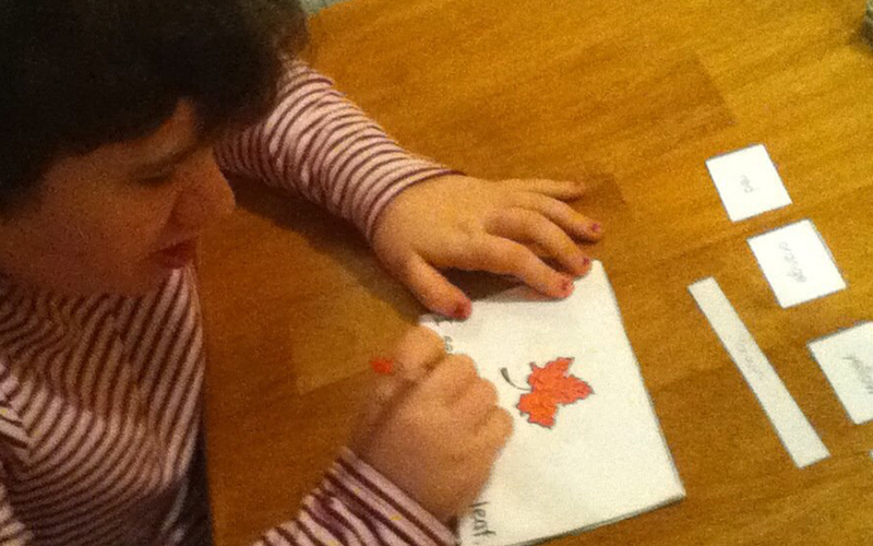 The Advantages of Homeschooling Special Needs Students