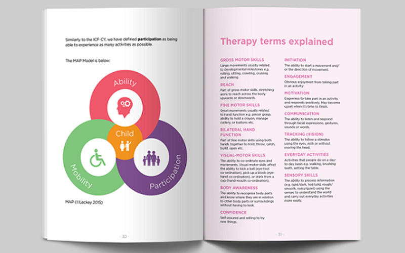 International Classification of Functioning, Disability and Health for Children and Youth (ICF-CY)