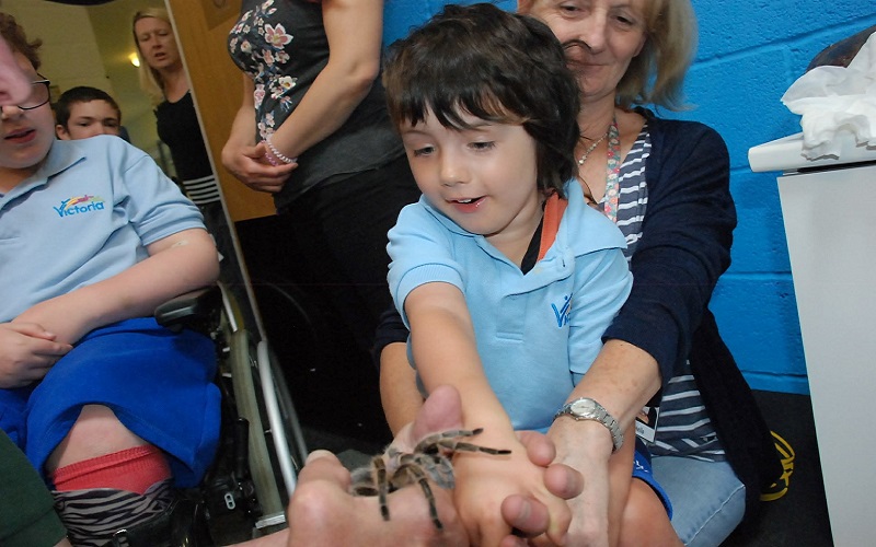 Special Needs Parenting: What a difference a year makes