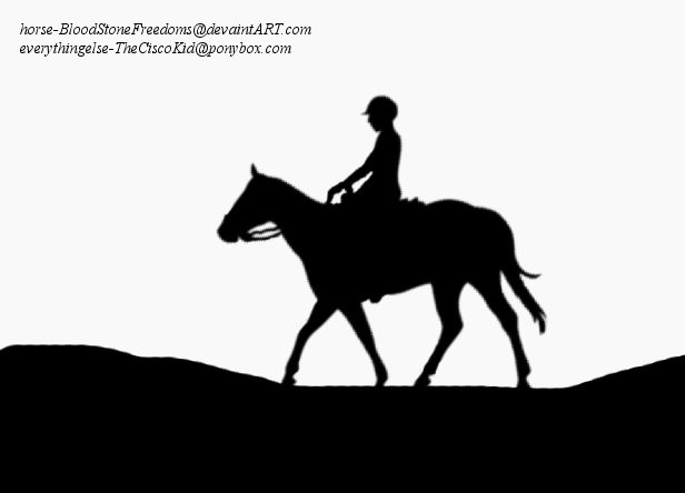 Hippotherapy (horse-riding therapy)