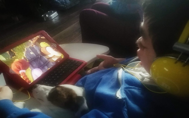 What Our Dog Could Teach Some Professionals