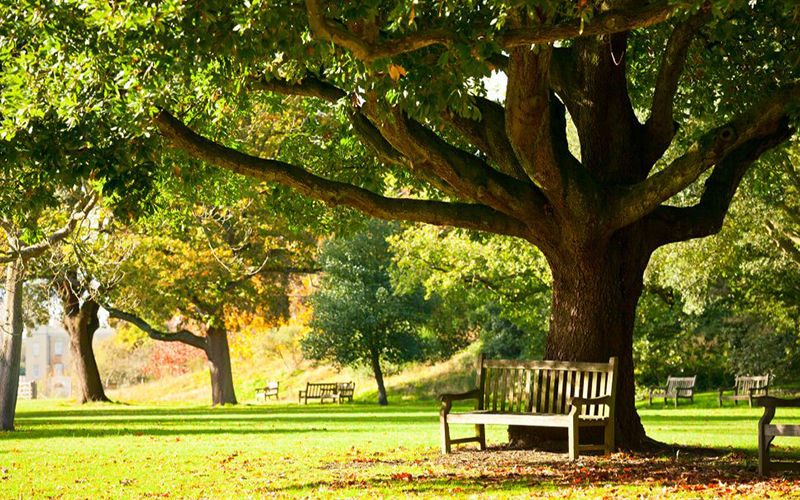 National Trust - A lovely family day out