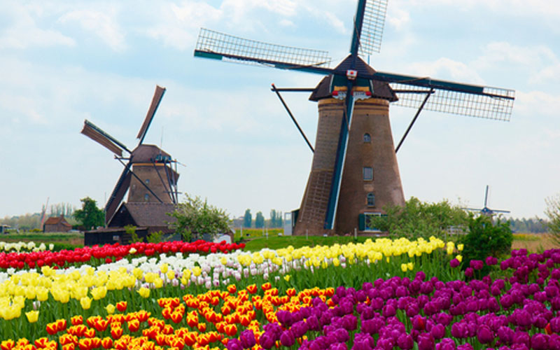 Welcome to Holland