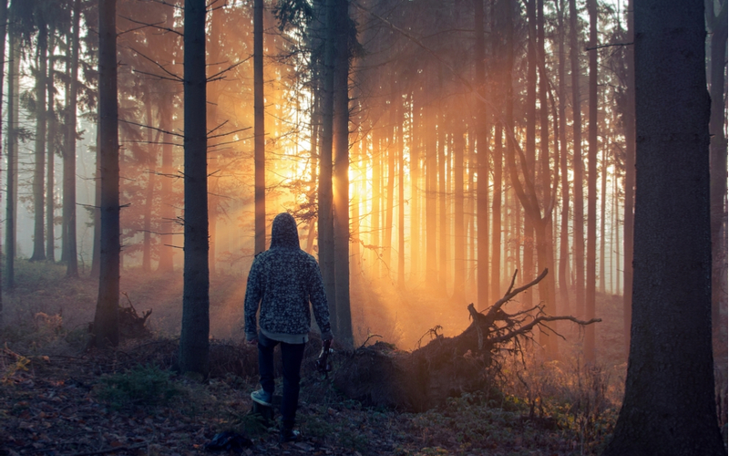 Will We Ever Be Out of the Woods?